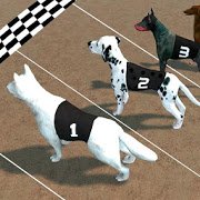  Crazy Dog Racing 